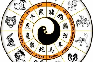 signe astrologique chinois signification